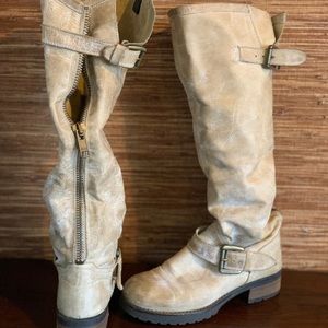 Freebird by Steven | Buckeyee